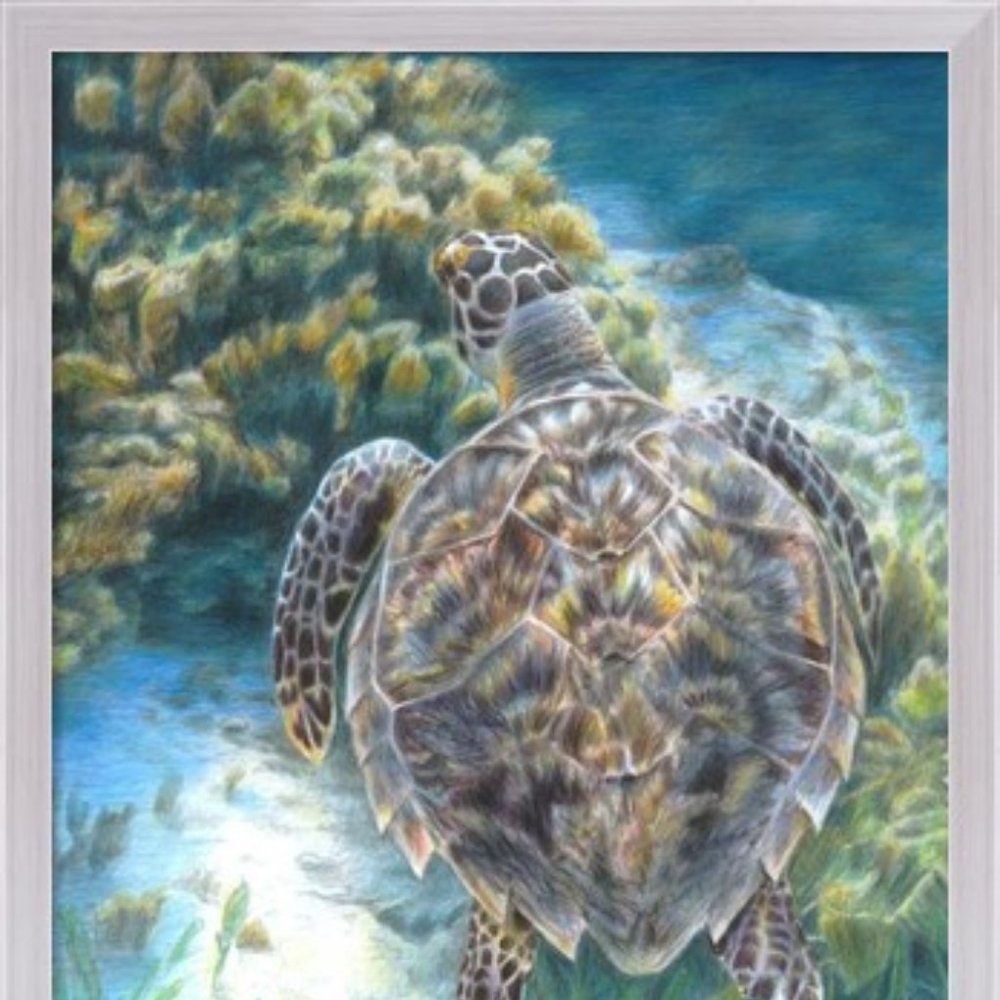 Carla Kurt "Into The Deep Ocean Sea Turtle" Wood Framed Painting Wall Art NWT - Picture 4 of 11